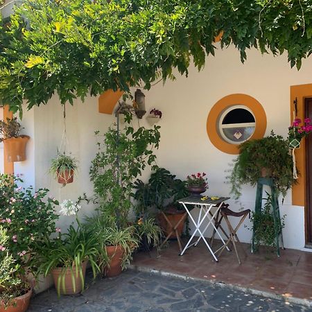 A Casa Do Lagar Διαμέρισμα Azeitao Εξωτερικό φωτογραφία