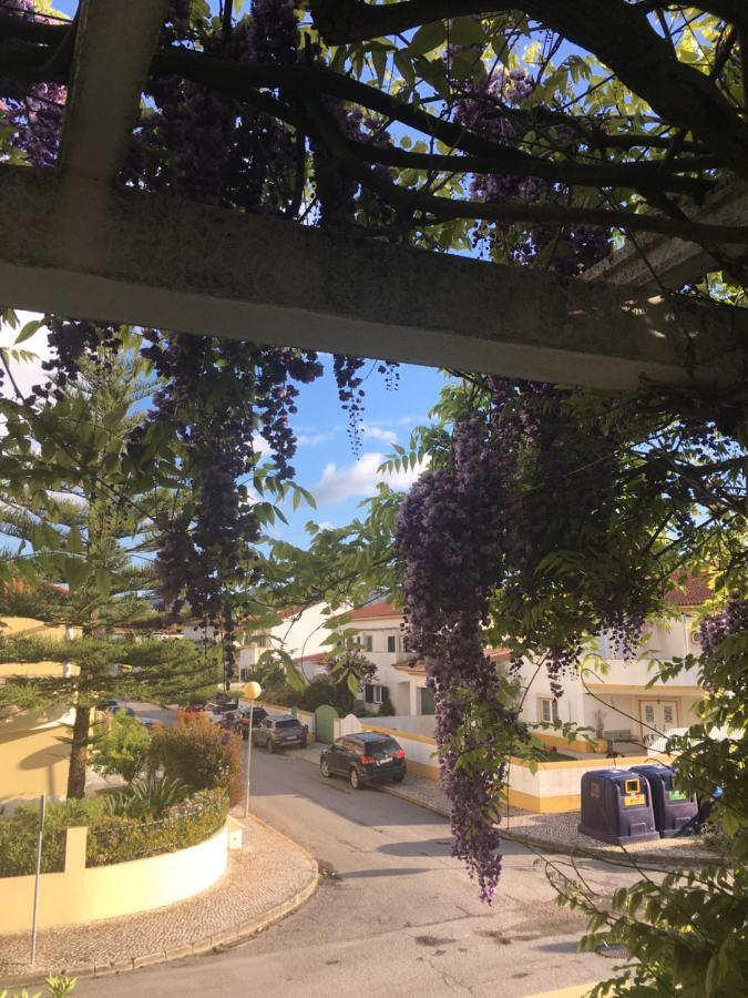A Casa Do Lagar Διαμέρισμα Azeitao Εξωτερικό φωτογραφία