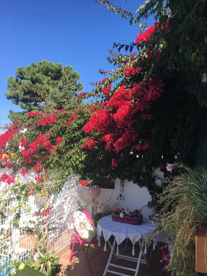 A Casa Do Lagar Διαμέρισμα Azeitao Εξωτερικό φωτογραφία