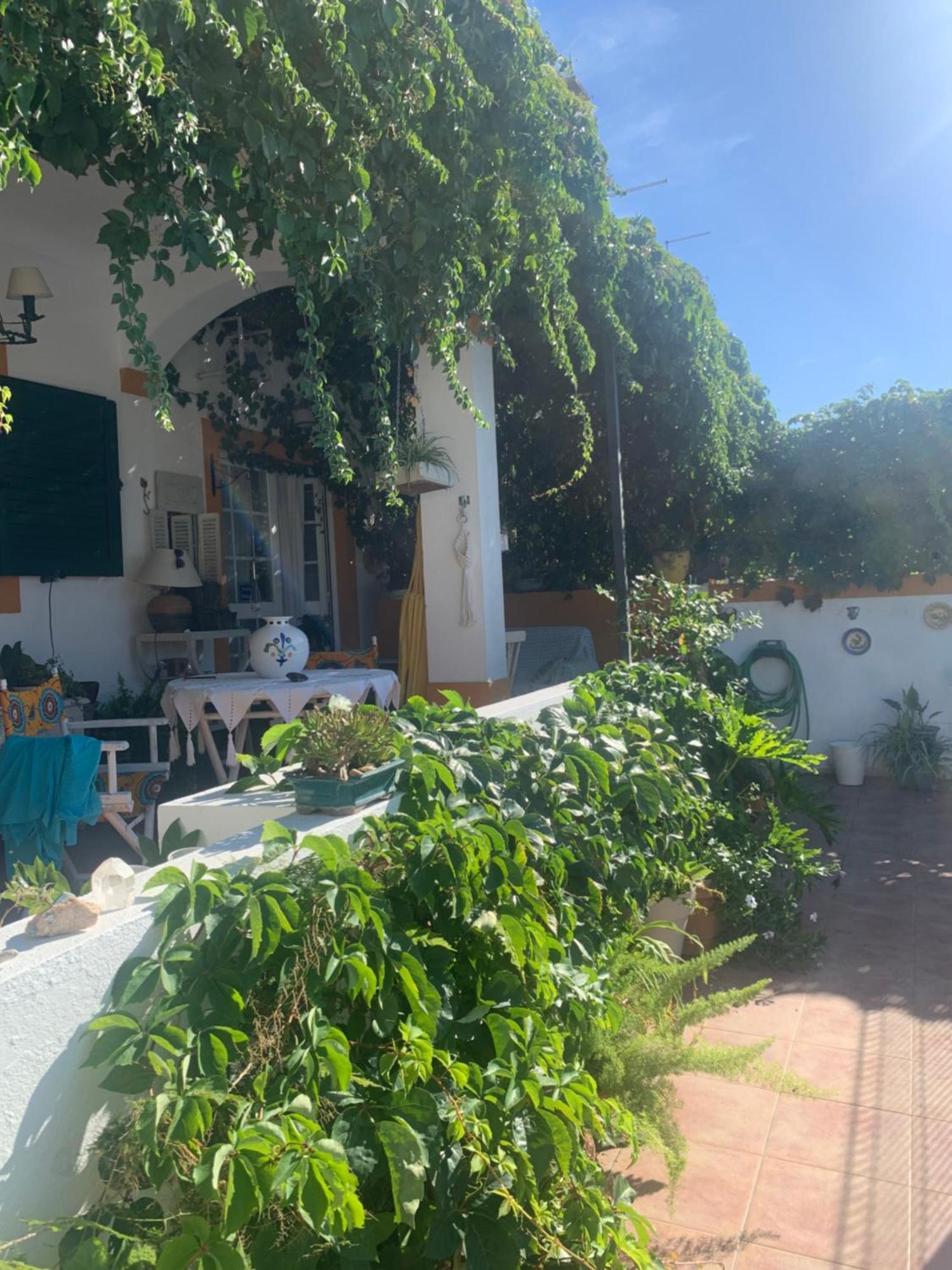 A Casa Do Lagar Διαμέρισμα Azeitao Εξωτερικό φωτογραφία